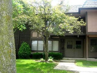 Foreclosed Home - 1145 COURT A, 60133
