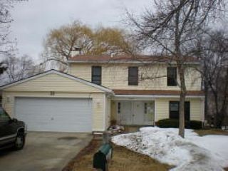 Foreclosed Home - 22 HESTERMAN DR, 60139