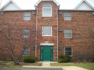Foreclosed Home - 1351 CUNAT CT APT 2B, 60156