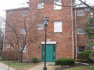 Foreclosed Home - 1343 CUNAT CT APT 2D, 60156