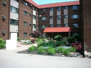 Foreclosed Home - 1919 S WOLF RD APT 107, 60162