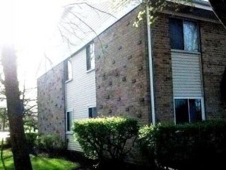 Foreclosed Home - 1420 VOLID DR APT D, 60169