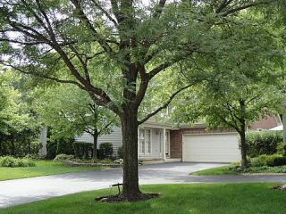 Foreclosed Home - 254 HUNTWYCK CT, 60173
