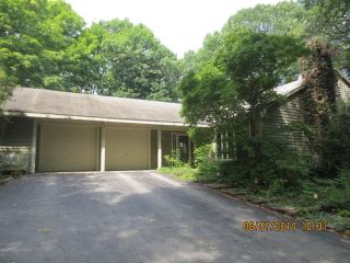 Foreclosed Home - 4N120 THORNTREE RD, 60174