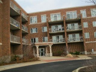 Foreclosed Home - 515 MAIN ST APT 205, 60185