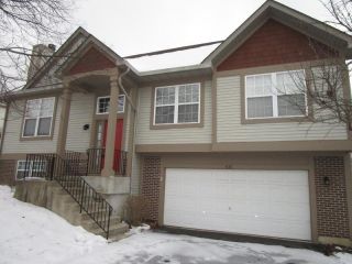 Foreclosed Home - 1641 Orchard Court, 60185