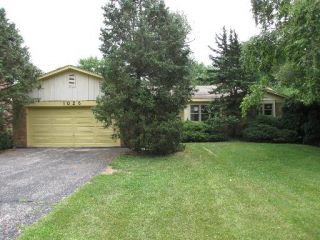 Foreclosed Home - 1025 WARRENVILLE RD, 60189
