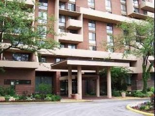 Foreclosed Home - 465 W DOMINION DR APT 1009, 60191