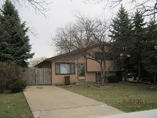 Foreclosed Home - 289 N OAK AVE, 60191