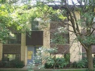 Foreclosed Home - 350 GROVE ST APT 203, 60191