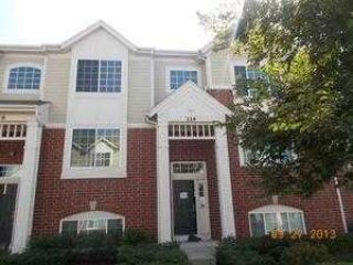 Foreclosed Home - 114 MORGANS GATE DR # 1304, 60191