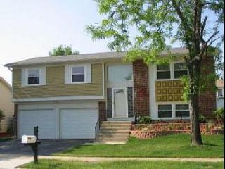Foreclosed Home - 4320 ROCK COVE DR, 60192