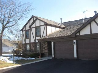 Foreclosed Home - 251 ARROWWOOD CT, 60193