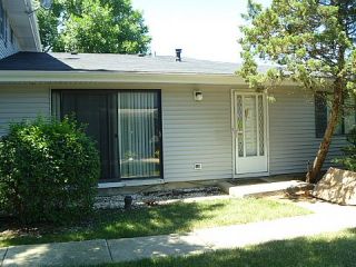 Foreclosed Home - 1114 STOUGHTON CT, 60194