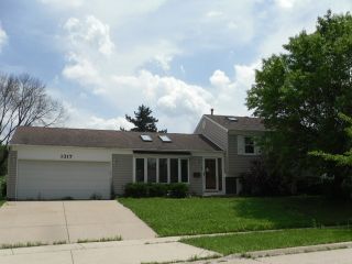 Foreclosed Home - 1317 ALLISON LN, 60194