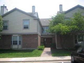 Foreclosed Home - 129 WHITE OAK CT, 60195