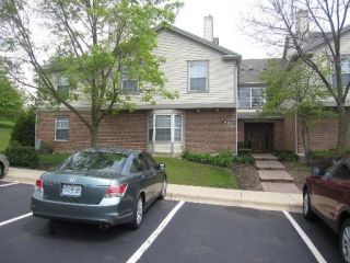 Foreclosed Home - 122 Willow Brook Ct Apt 122, 60195