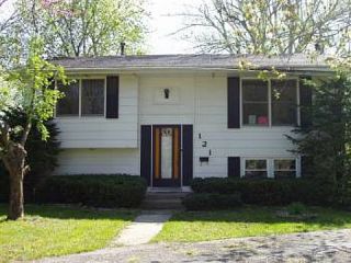 Foreclosed Home - 121 S MERRILL ST, 60407
