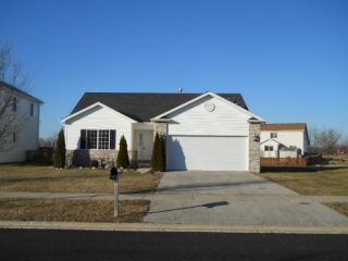 Foreclosed Home - 816 BLACKHAWK DR, 60408