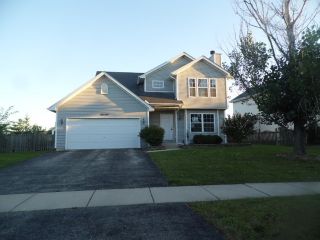 Foreclosed Home - 26149 W Tallgrass Trl, 60410