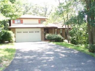 Foreclosed Home - 24919 S CREEKSIDE CT, 60417
