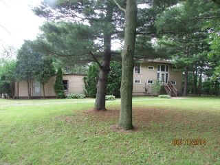 Foreclosed Home - 25538 S Klemme Rd, 60417