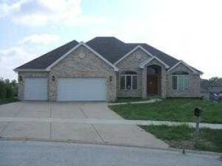 Foreclosed Home - 20631 PERSIMMON CT, 60423
