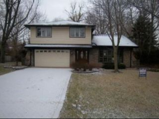 Foreclosed Home - 458 OHIO RD, 60423