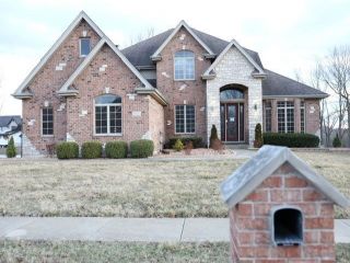 Foreclosed Home - 8562 HOTCHKISS DR, 60423