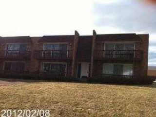 Foreclosed Home - 440 N ROBERTS DR APT 2F, 60425