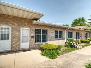 Foreclosed Home - 1066 CHOVAN DR, 60435