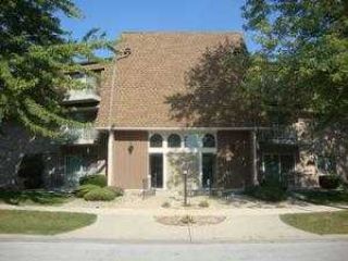 Foreclosed Home - 3240 N MANOR DR APT 217, 60438