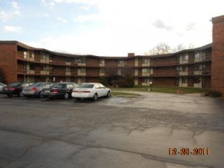 Foreclosed Home - 2306 HOLIDAY TER APT 146, 60438