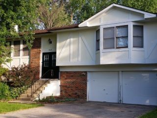 Foreclosed Home - 649 BANBURY WAY, 60440