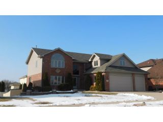 Foreclosed Home - 21222 Vivienne Drive, 60443