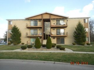 Foreclosed Home - 12825 CARRIAGE LN APT 2C, 60445