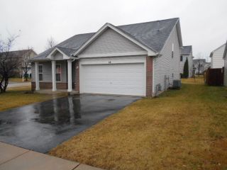 Foreclosed Home - 44 Paladino Dr, 60446