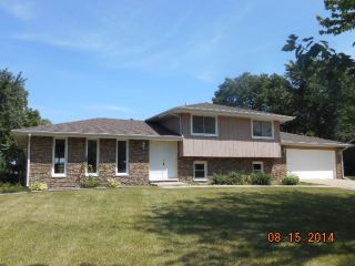Foreclosed Home - 23701 COTTONWOOD LN, 60447