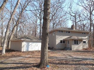 Foreclosed Home - 5552 W TIMBERLANE, 60449