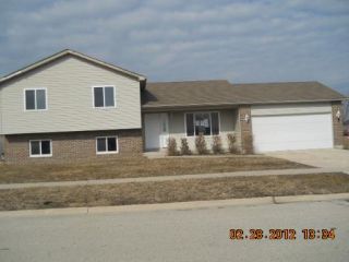 Foreclosed Home - 1785 SCHUBERT DR, 60450