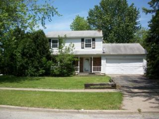 Foreclosed Home - 629 LIVINGSTON DR, 60451