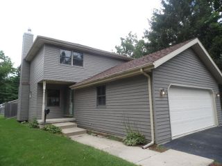 Foreclosed Home - 207 ELM ST, 60451