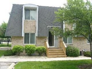 Foreclosed Home - 15124 CENTRAL AVE APT B, 60452