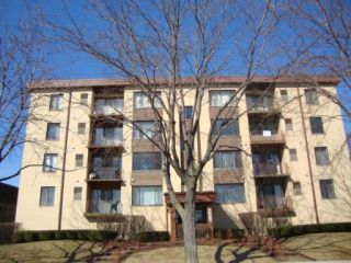 Foreclosed Home - 5800 W 105TH ST APT 2C, 60453