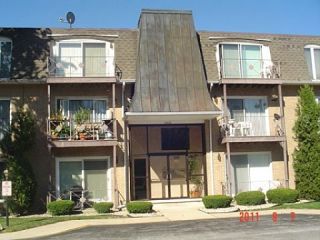 Foreclosed Home - 10308 CIRCLE DR APT 303, 60453
