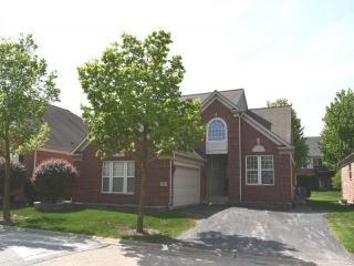 Foreclosed Home - 13324 LAHINCH DR, 60462
