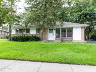 Foreclosed Home - 194 SHABBONA DR, 60466