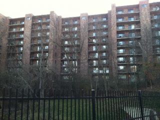 Foreclosed Home - 6010 LAKE BLUFF DR UNIT 202, 60477