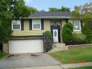Foreclosed Home - 4064 INDIAN HILL DR, 60478