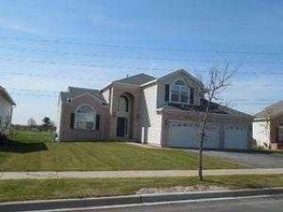 Foreclosed Home - 439 BRASSIE LN, 60484